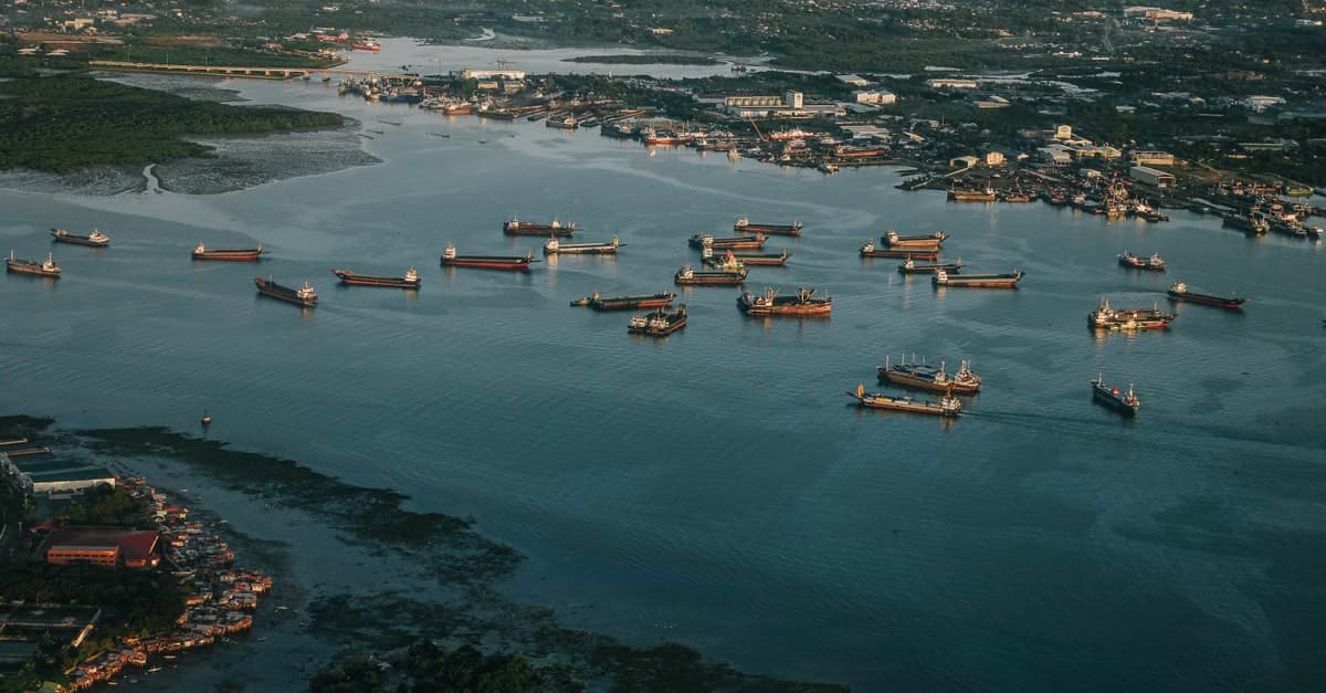 Vessel Traffic Services (VTS)